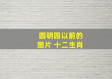 圆明园以前的图片 十二生肖